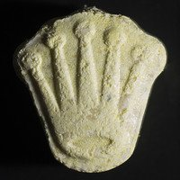 Rolex MDMA For Sale