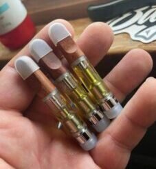 dmt vape pen double blind