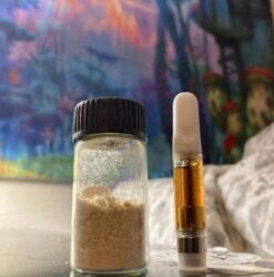 Alternative view of Puff Boyz -NN DMT .5ML(400MG) Cartridge – Vanilla