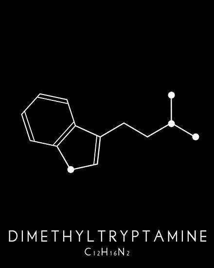 Where Can I Buy Dimethyltryptamine