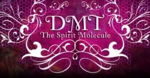 Is DMT Legal in California | Is DMT Legal​